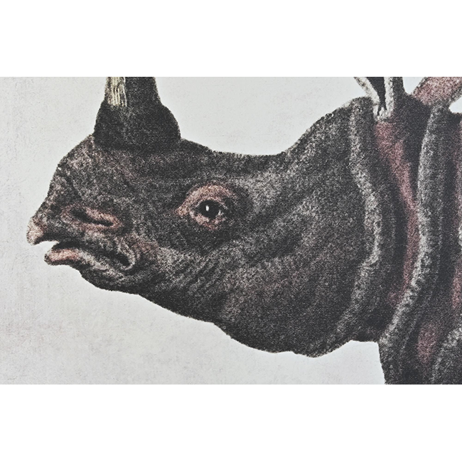 Set cuadros Rinoceronte