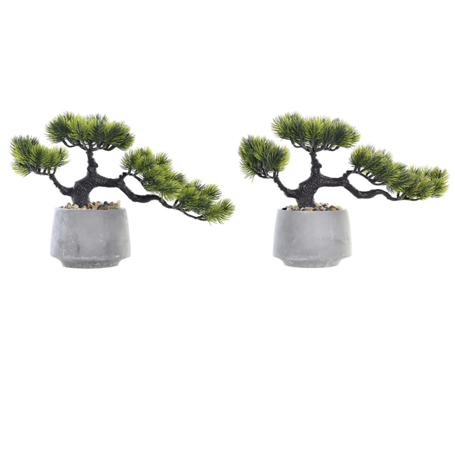 Bonsai YEMAI 