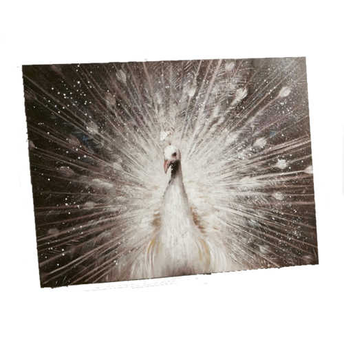 Cuadro óleo PAVO REAL