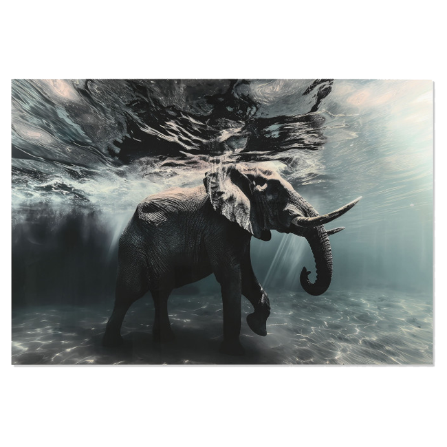 Cuadro CRISTAL elefante