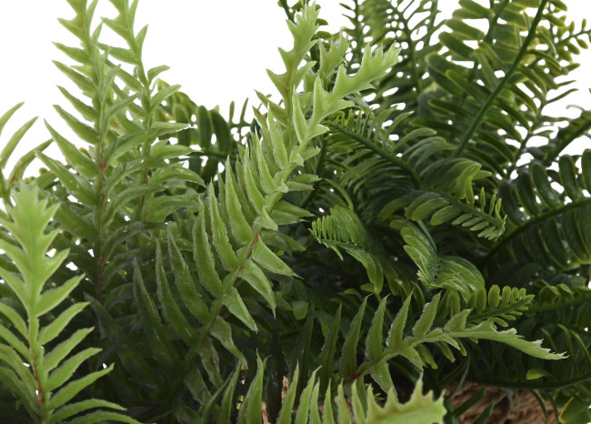 Planta artificial FIBRA