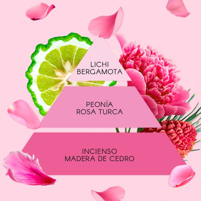 Set LA VIE EN ROSE Don Algodón Mujer 