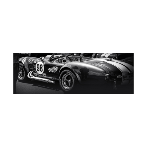 Cuadro cristal CLASICO COBRA.