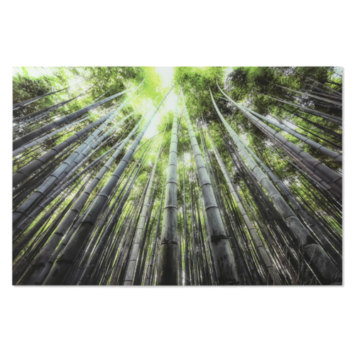 Cuadro BAMBOO