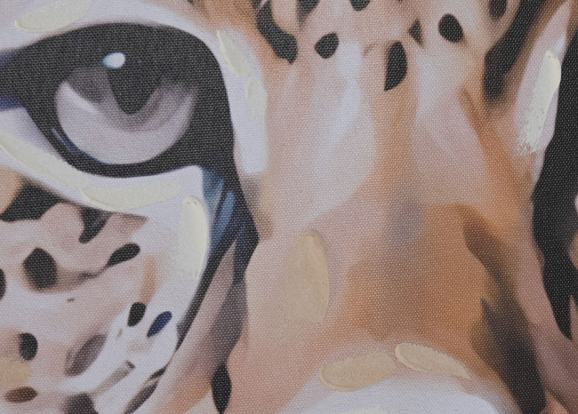 Cuadro ANIMAL COLORS