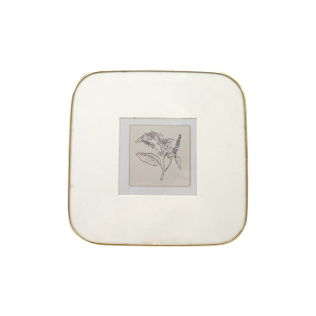 Marco fotos SHIS  10x10