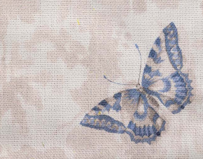 Camino mesa PAVO REAL