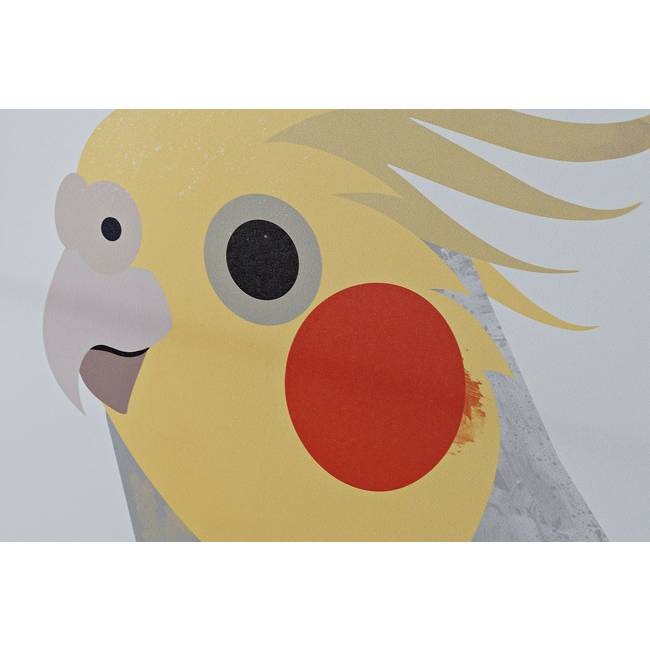 Lienzo Cacatúa Colors