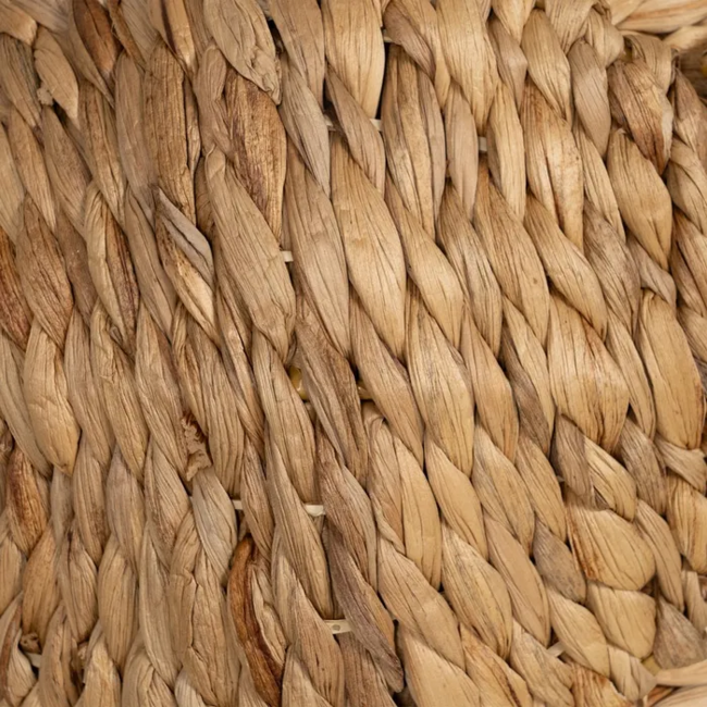 Cesto ELEFANTE con tapa