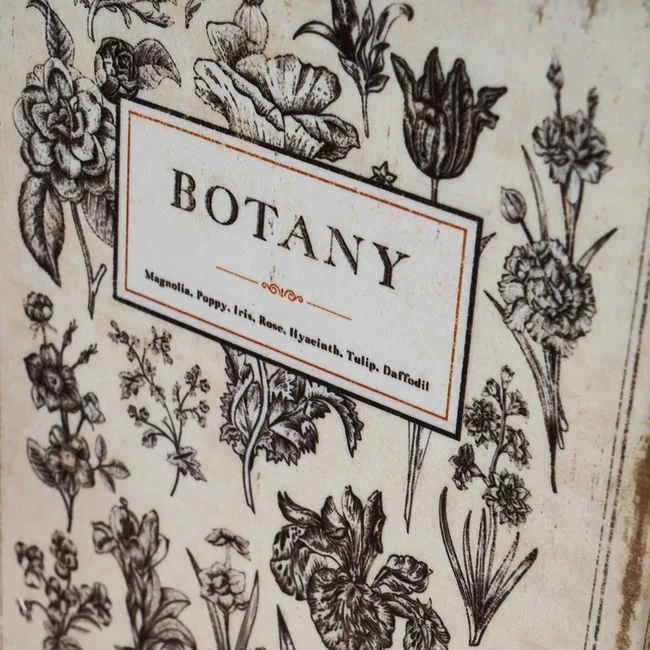 Caja libro BOTANIC
