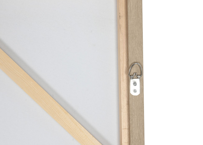 Cuadro CHICA CABALLO