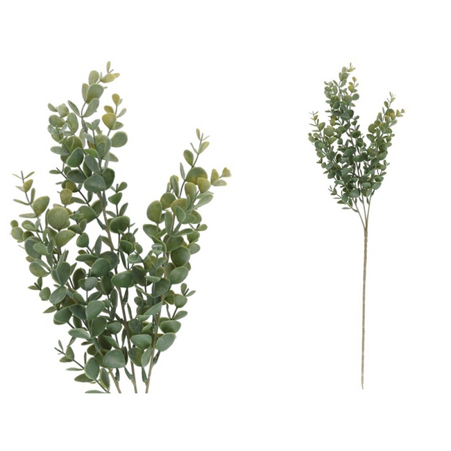 Vara EUCALIPTO 66 cm