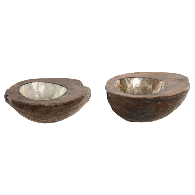 Vaciabolsillos CAPIZ 