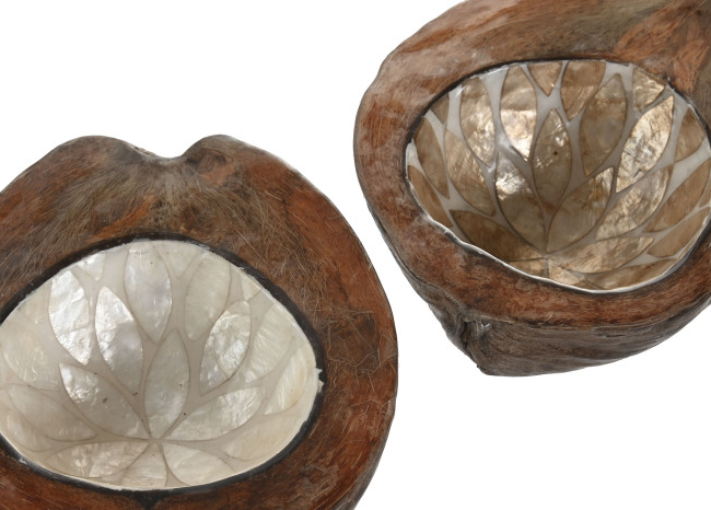 Vaciabolsillos CAPIZ 