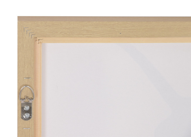 Cuadro PERRO SALCHICHA 