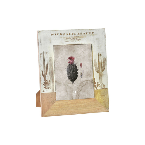 Marco foto cactus