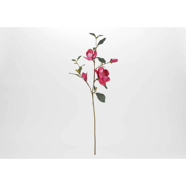 Rama magnolia fucsia