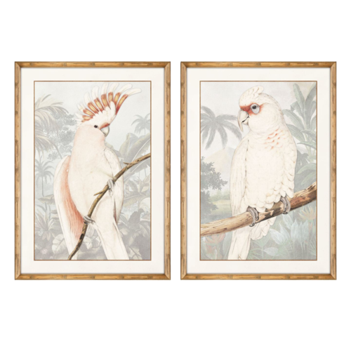 Cuadro Cacatúa