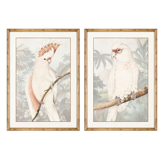 Cuadro Cacatúa