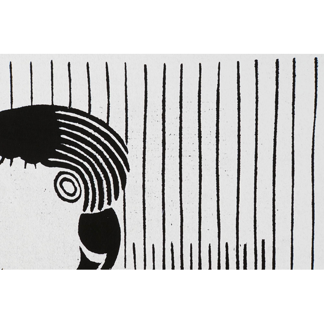 Lienzo Cacatúa Black